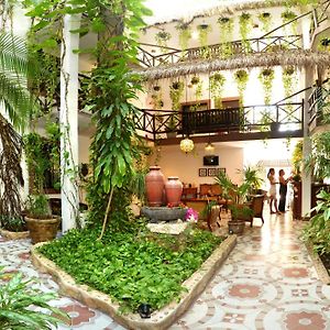 Posada Mariposa Boutique Hotel - 5th Avenue